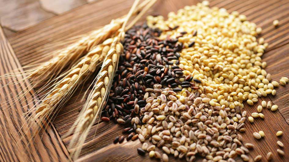 Implement Grain Color Measurement for Quality Assurance