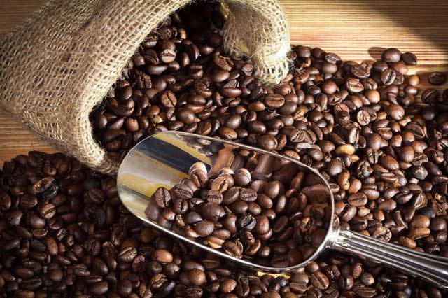 Evaluation of Coffee Bean Color using Spectrophotometer